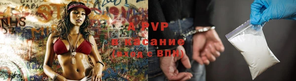 индика Болхов