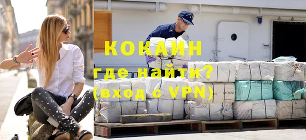 шишки Болотное
