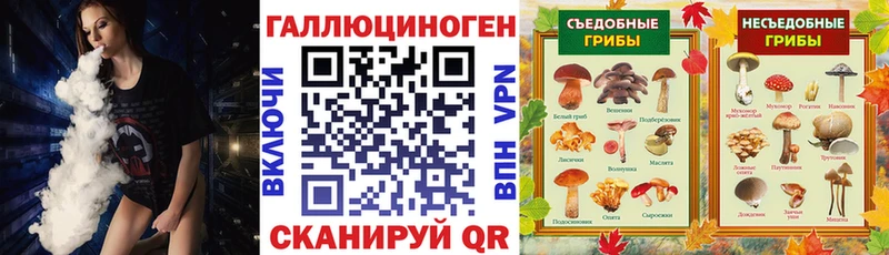 Галлюциногенные грибы мухоморы  Олонец 